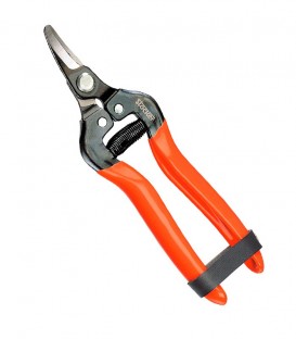 Tijera Profi Cítricos 16,5cm hoja curva