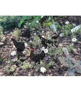 Decoración de jardines y terrazas con gallinas