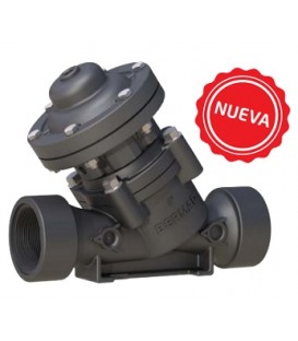 Válvula hidráulica básica de doble cámara Bermad IR-100-DC - 11/2" - RH